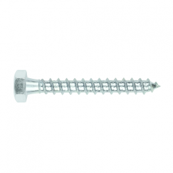 571_tr1-1.tif_normal.png