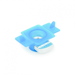 tu-rx1-1.tif_normal.png