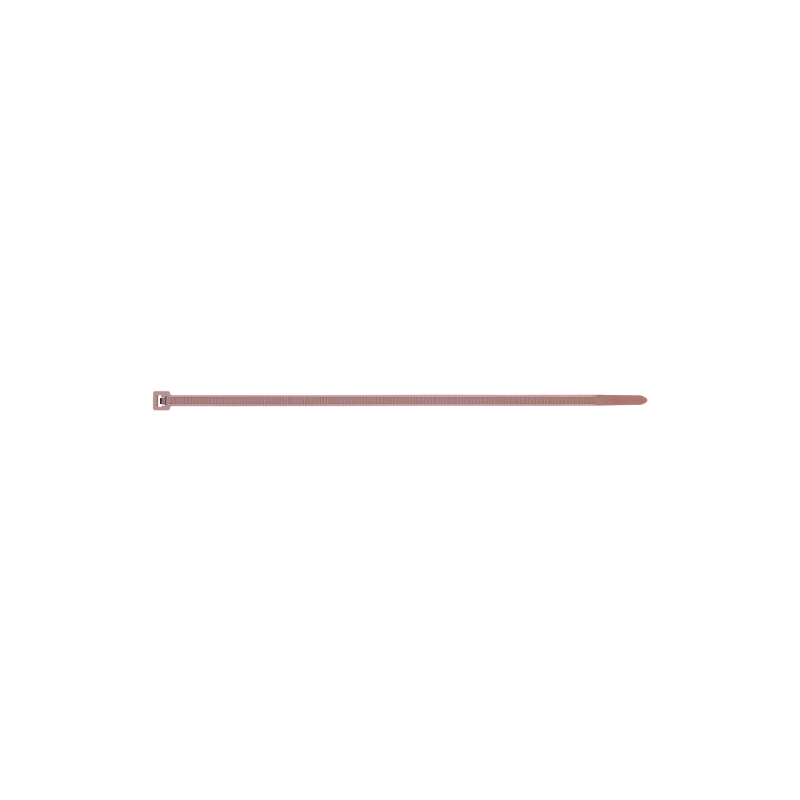 bn-ma1-1.tif_normal.png