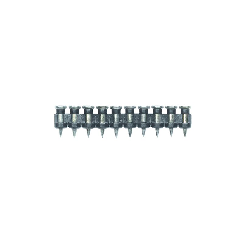 fg-cl1-1.tif_normal.png