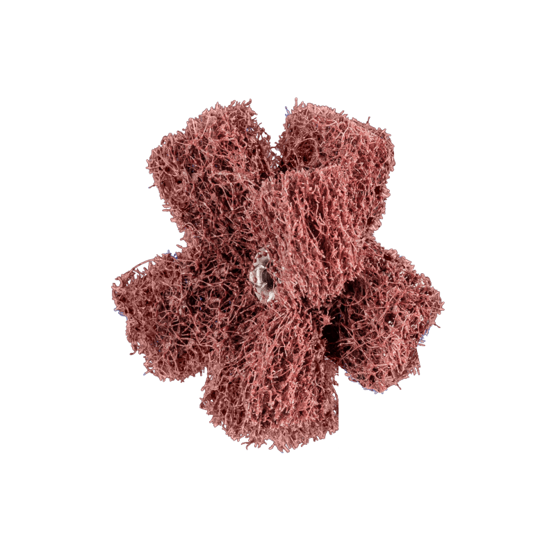 pnst-50-2-a-80-rgb.png_normal.png