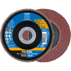 pfc-125-a-120-psf-steelox-kombi-rgb.png_normal.png