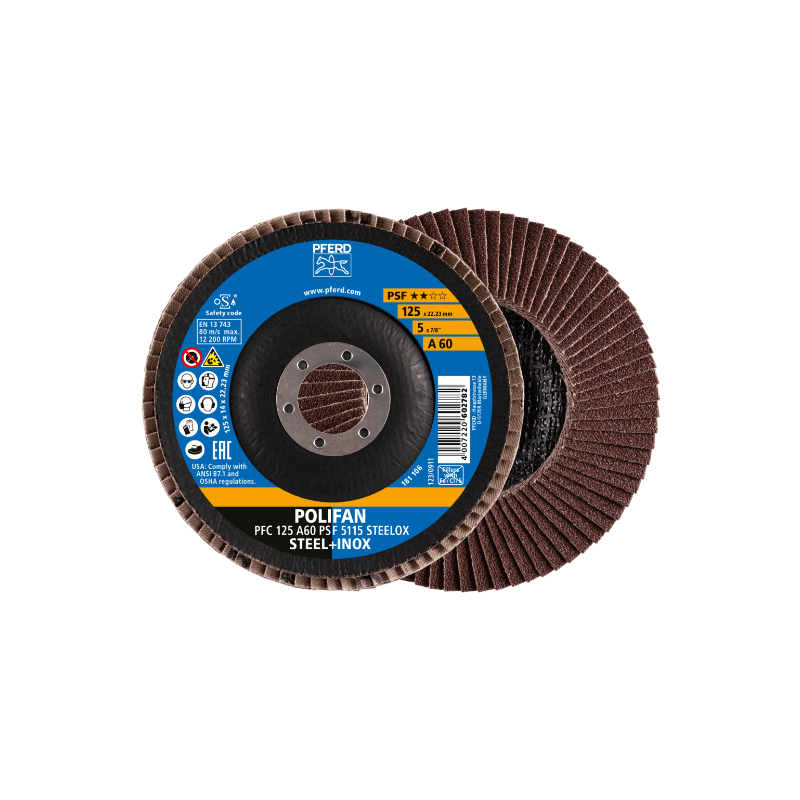 pfc-125-a-60-psf-5115-steelox-kombi-rgb.png_normal.png