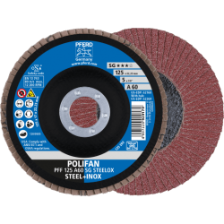 pff-125-a-60-sg-steelox-kombi-rgb.png_normal.png