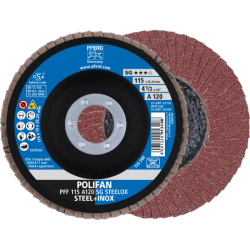 pff-115-a-120-sg-steelox-kombi-rgb.png_normal.png