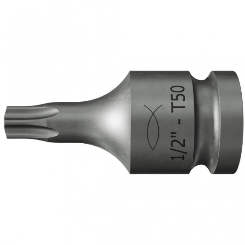 w2_p_p_00553929-cgi_sall_f_aqq_v1.jpg