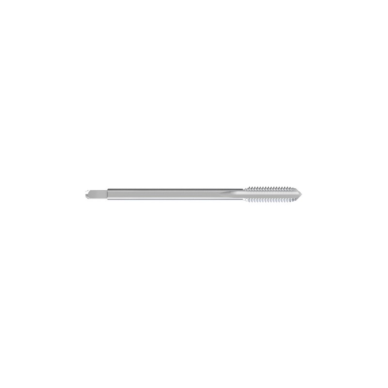 21010.jpg