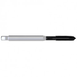22540.jpg