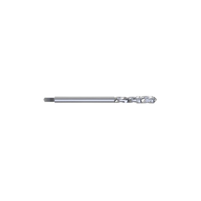 21510.jpg