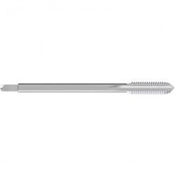 21010.jpg